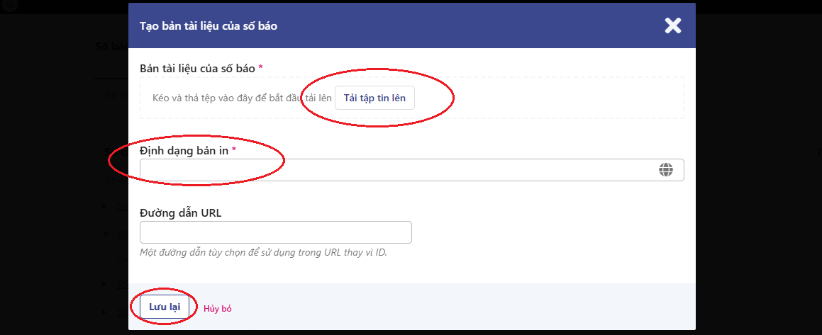 Hướng dẫn tạo số báo